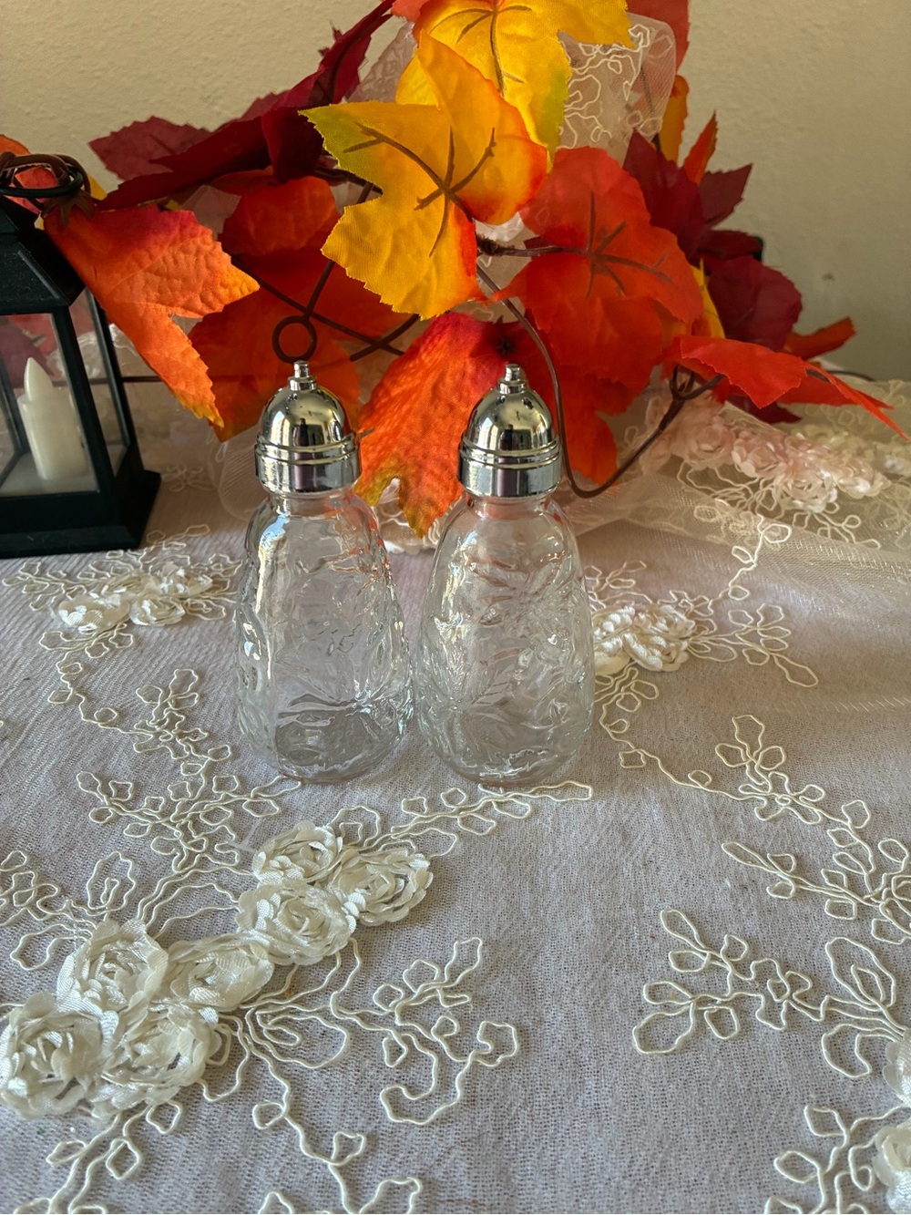 Princess House Clear Glass Salt and Pepper Shakers with Silver Caps